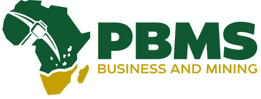 Perle Business and Mining Solutions
